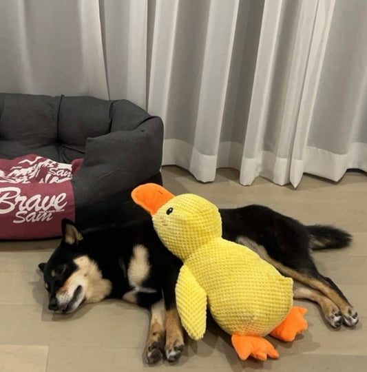 BloneĀ® SnuggleDuck ā Durable Chew Toy