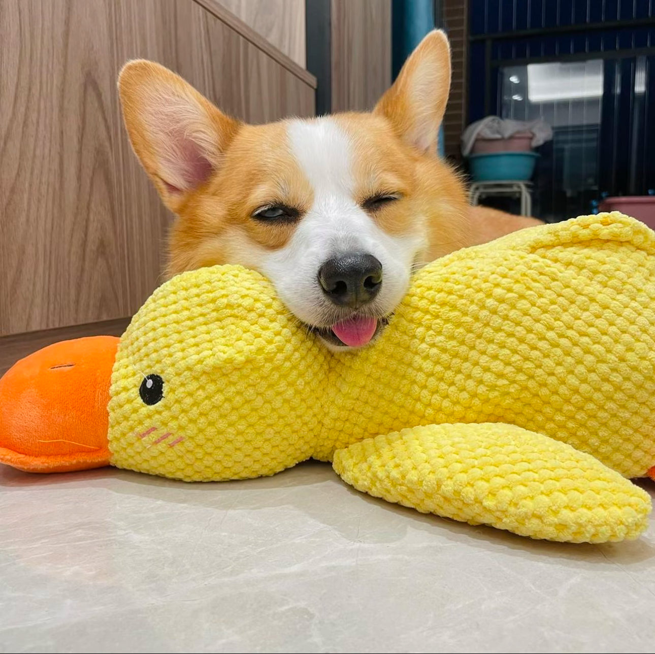 Blone® SnuggleDuck — Durable Chew Toy