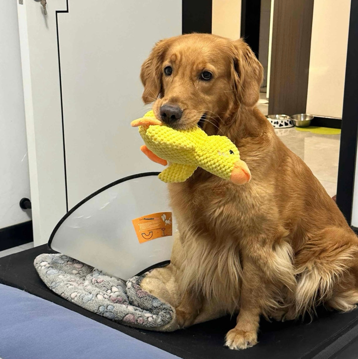 Blone® SnuggleDuck — Durable Chew Toy