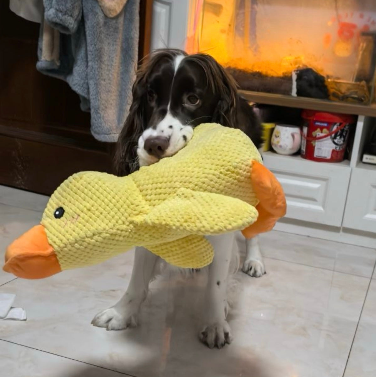 Blone® SnuggleDuck — Durable Chew Toy