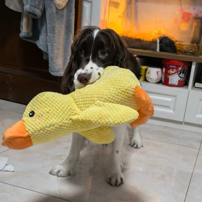 Blone® SnuggleDuck — Durable Chew Toy
