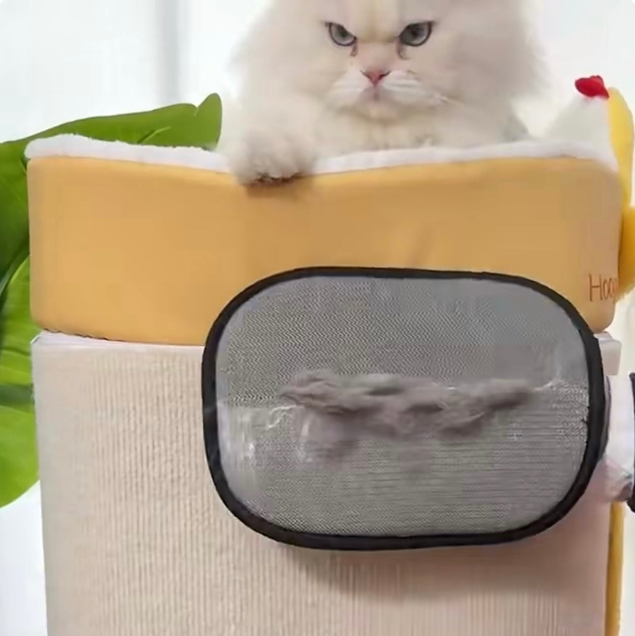 Pet Hair Removal Gloves