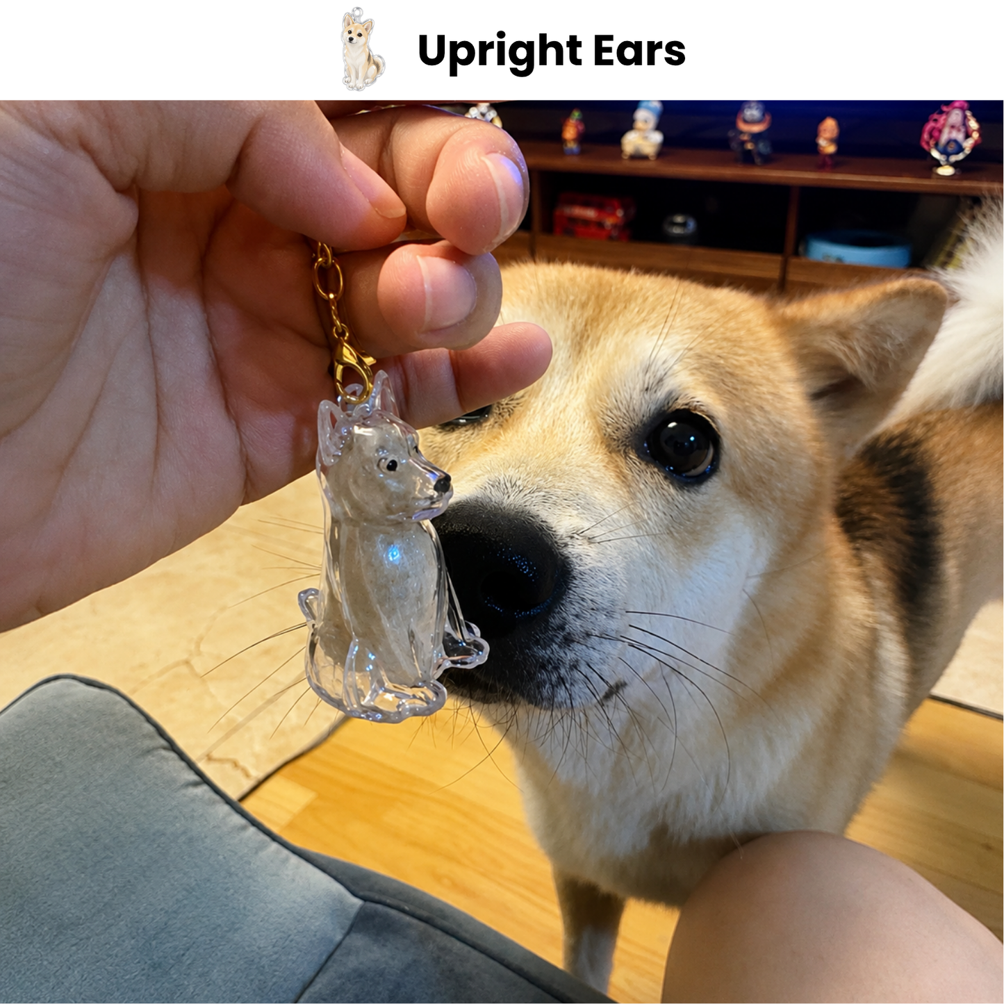 FurEver Memory™ — Upright Ears