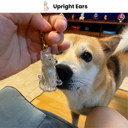 FurEver Memory™ — Upright Ears