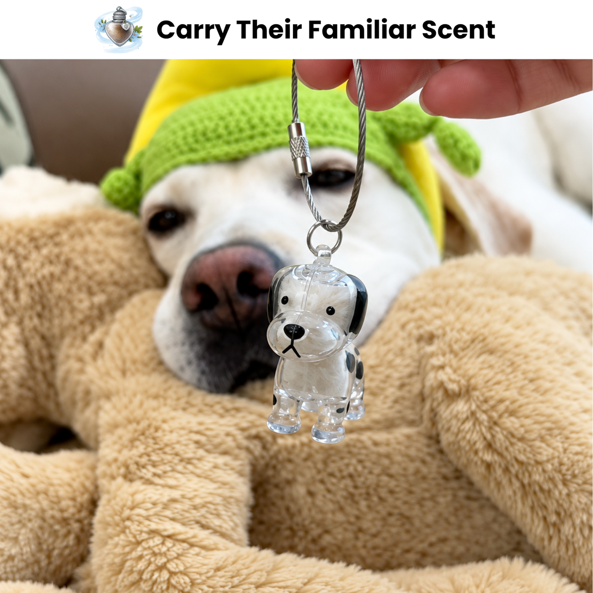 FurEver Memory™ — Curly Edition