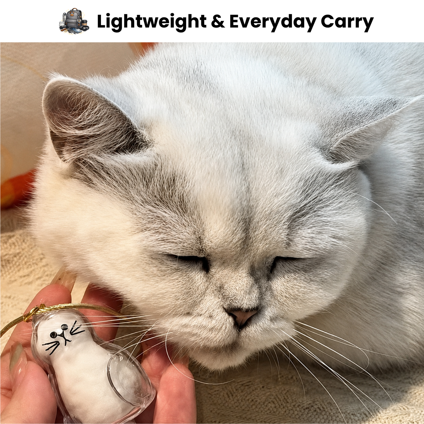 FurEver Memory™ — Cat Fur Keepsake