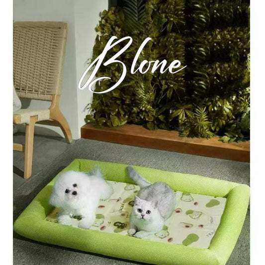 Snow Nest