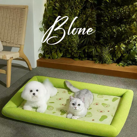Snow Nest