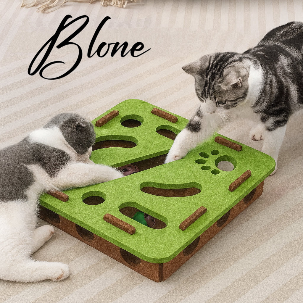 Blone® Whack A Paw