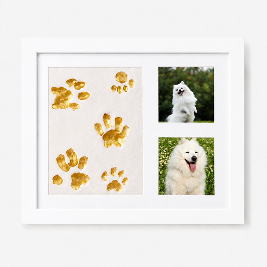 Pawever™ — Paw Print Memorial Frame