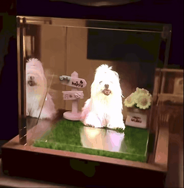Memory Cube — Dog Hologram